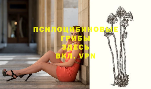гашик Абинск