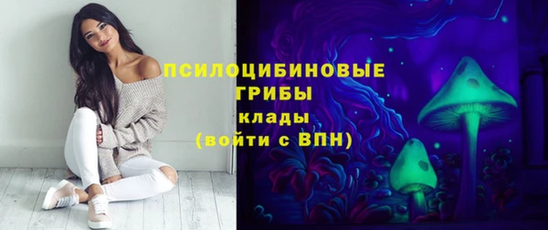 гашик Абинск