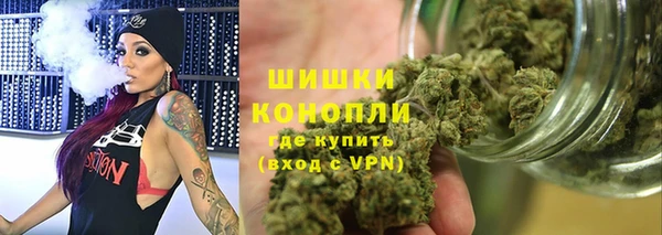 2c-b Пестово