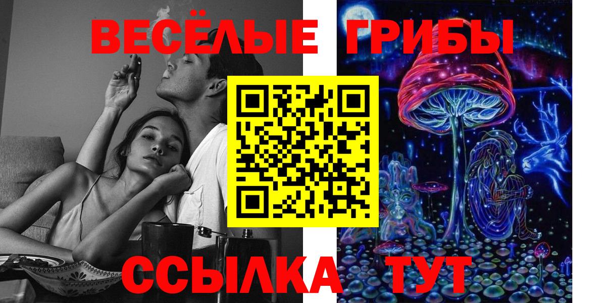 Альметьевск  Галлюциногенные грибы ЛСД  Вход с VPN  Псилоцибиновые грибы Psilocybine cubensis 